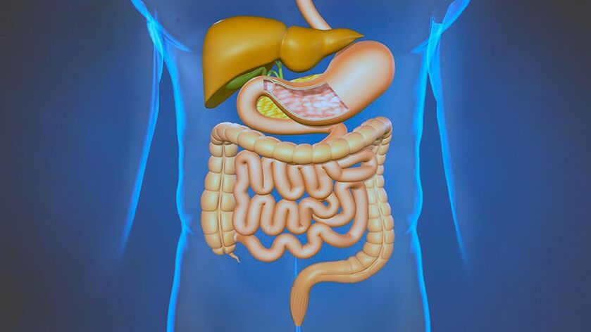 Les maladies du système digestif causent des douleurs sous les omoplates. 